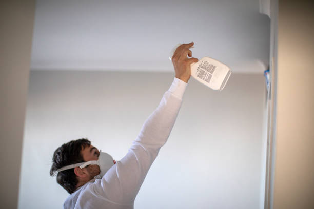 Certified Mold Removal in Durand, IL